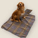 Hound & Hare PBT Tartan and Dry Wax Dog Travel rug - Small